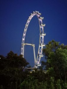 Famosa ruota panoramica (in notturna) chiamata SINGAPORE FLYER che si trova esattamente di fianco al Pit Building! Se passate da singapore fatevelo un giro anche se un po' caro ne vale la pena! 