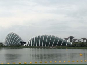 Garden by The Bay - strutture dall'architettura avveniristica dove all'interno ci sono da una parte un giardino tropicale e dall'altro una raccolta di fiori dal mondo! Un po' artificiale ma carino!