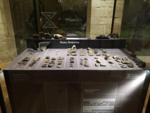 Reperti dentro teca grande
