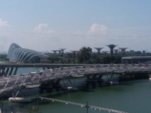 Ponte a DNA e dietro alberi di metallo zona Garden By the Bay